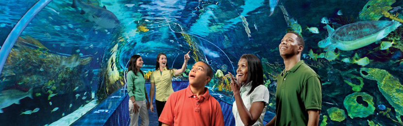 Ripley's Aquarium
